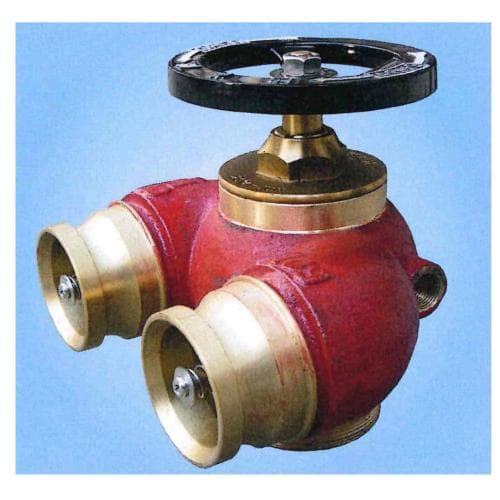 Yue Hing Y109 · 認可信編號 ZC20260376FS
