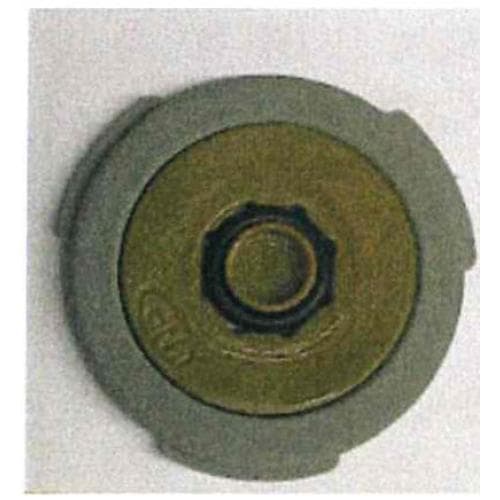Bain d’Or BDR-MX-SP-668 · 認可信編號 C20240746