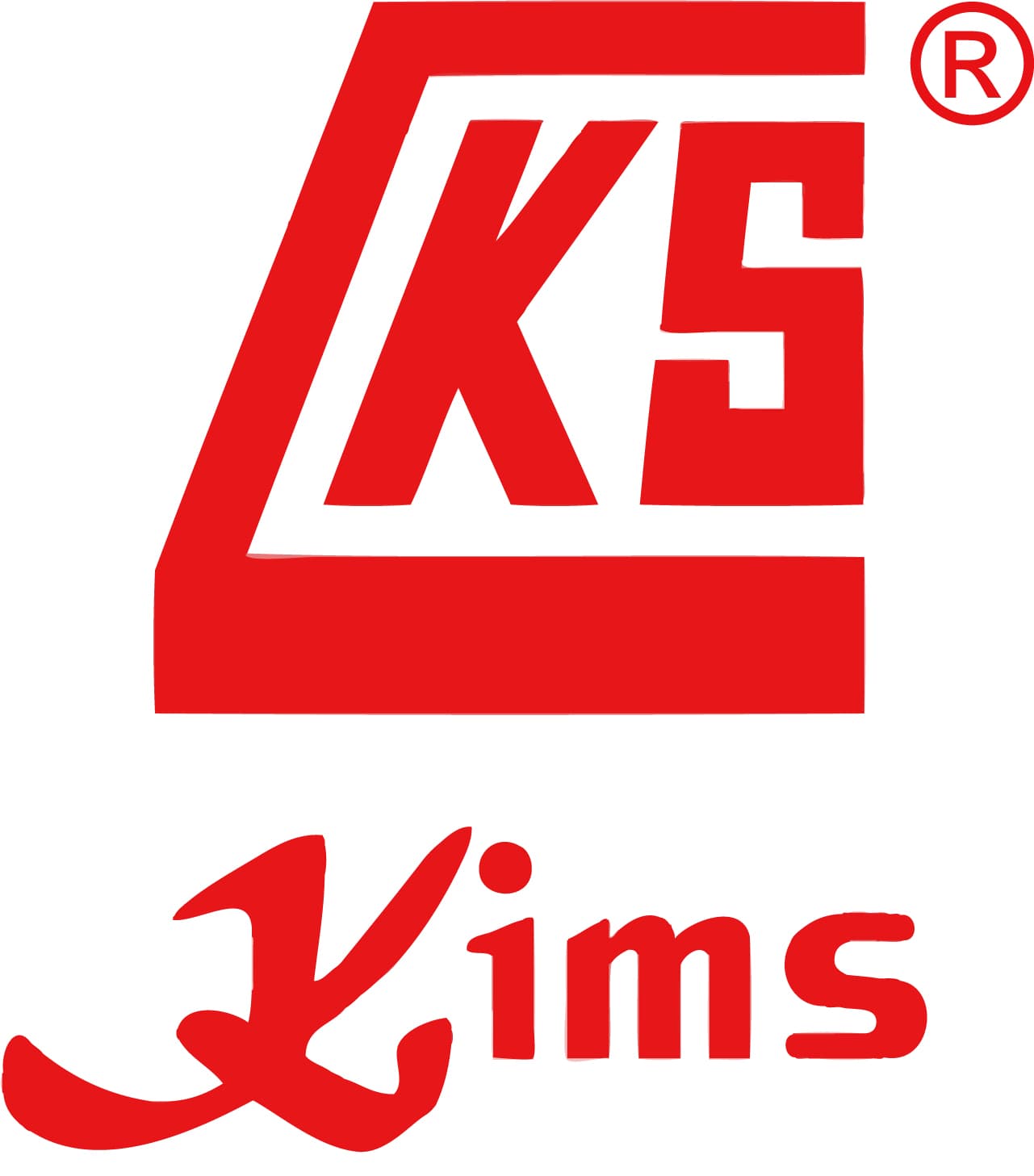 KIMSION