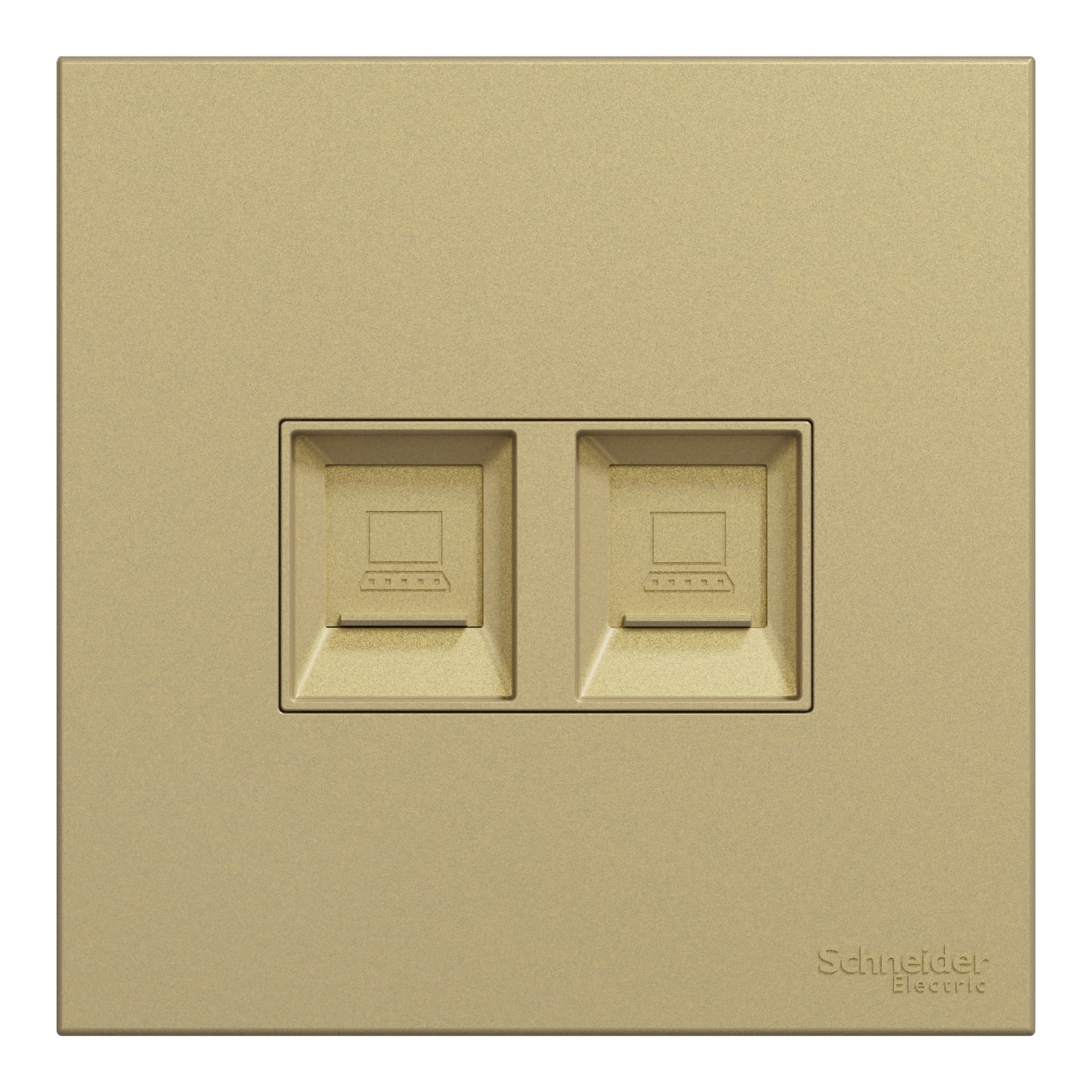 Schneider 施耐德 AvatarOn C 奐然 兩位RJ11電話及RJ45 5e類數據插座, Keystone面板備防塵活門(沉醉金)