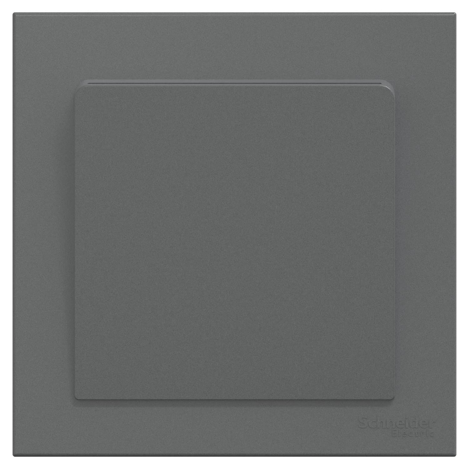 Schneider 施耐德電氣 AvatarOn C 奐然 16A 附身份識別功能電子插卡開關掣 E8731EKTID_DG(石墨灰)香港行貨
