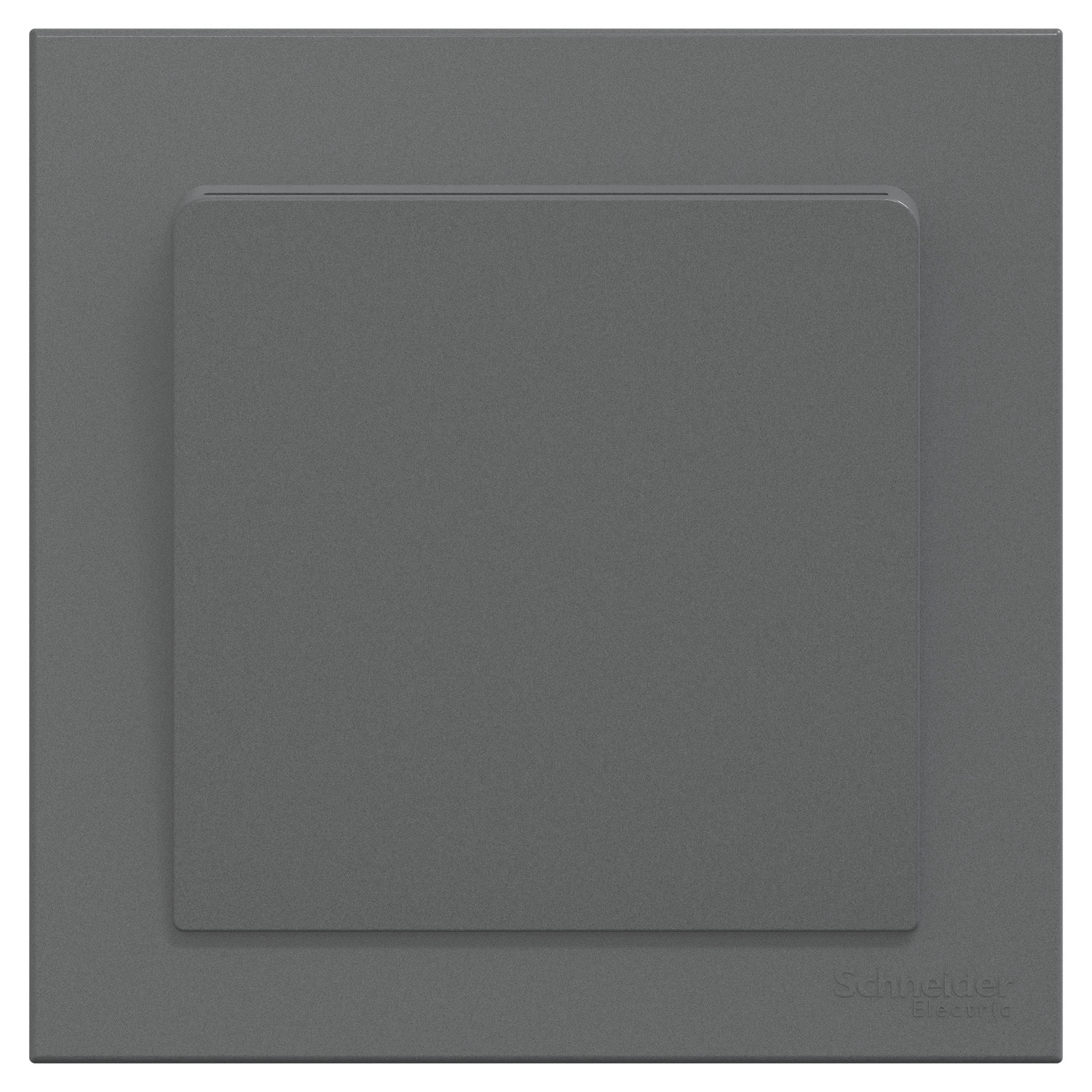 Schneider 施耐德 AvatarOn C 奐然 16A 附身份識別功能電子插卡開關掣(石墨灰)