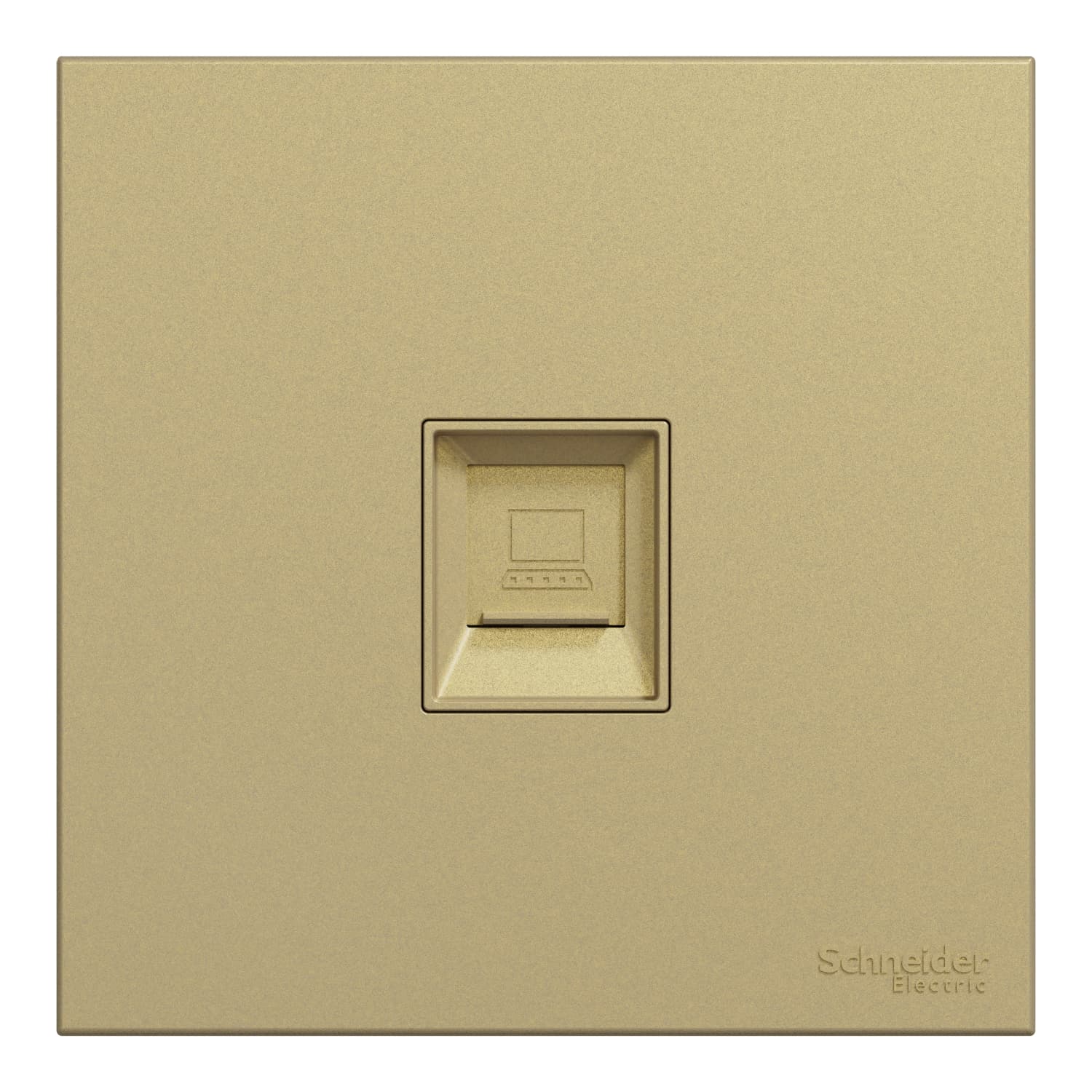 Schneider 施耐德電氣 AvatarOn C 奐然 單位RJ45 5e類數據插座, Keystone面板備防塵活門 E8731RJS5_WG(沉醉金)香港行貨