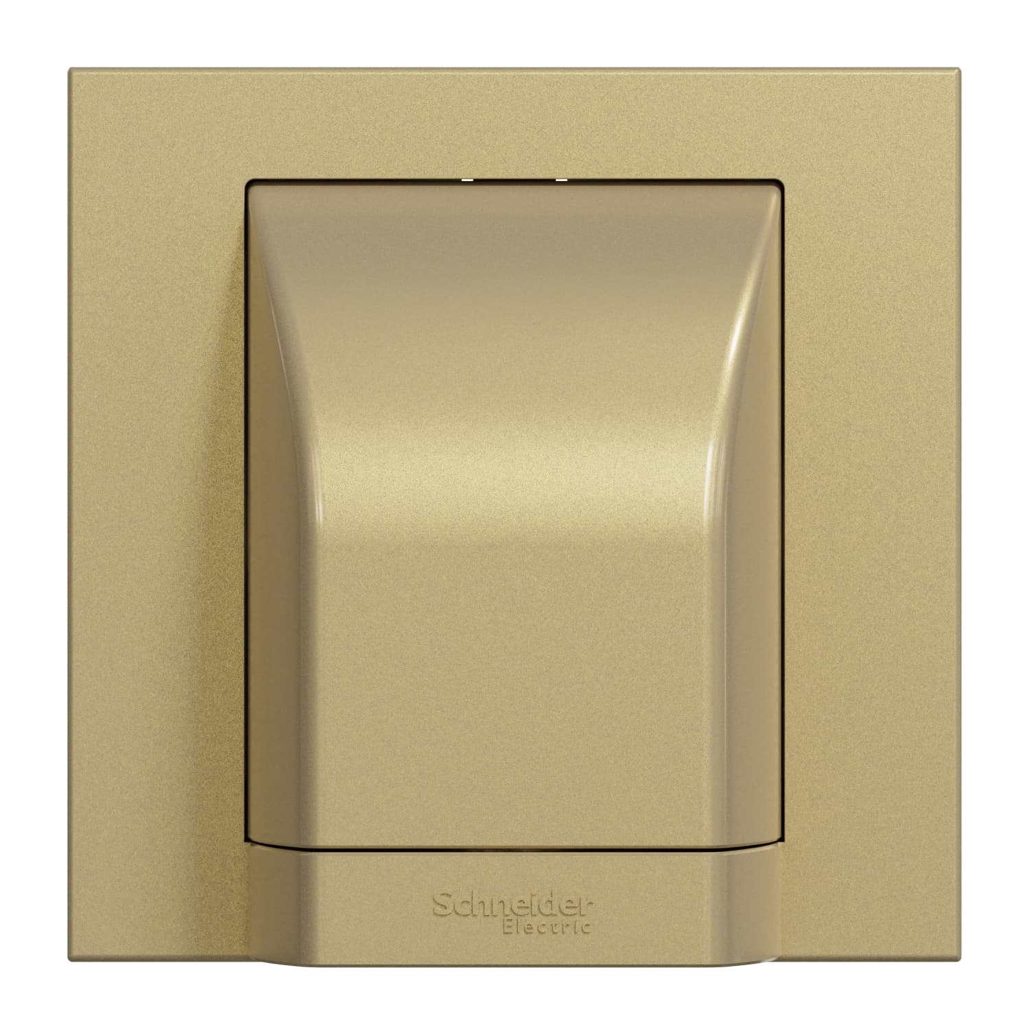 Schneider 施耐德電氣 AvatarOn C 奐然 45A 單位接線蘇 E87554_WG(沉醉金)香港行貨