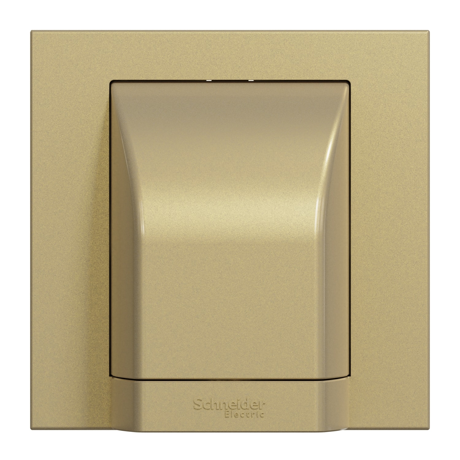 Schneider 施耐德 AvatarOn C 奐然 45A 單位接線蘇(沉醉金)