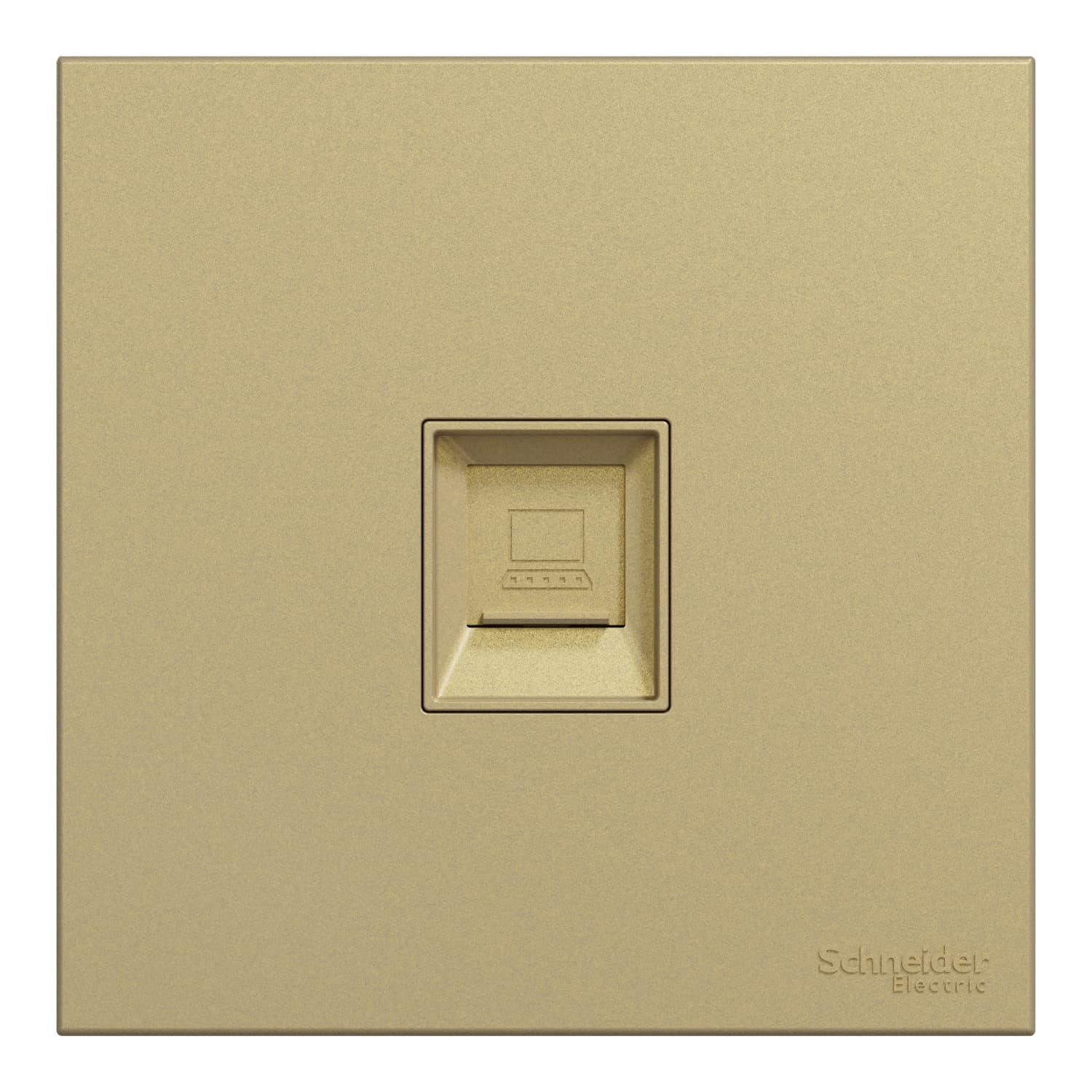 Schneider 施耐德電氣 AvatarOn C 奐然 單位RJ45 6類數據插座, Keystone面板備防塵活門 E8731RJS6_WG(沉醉金)香港行貨