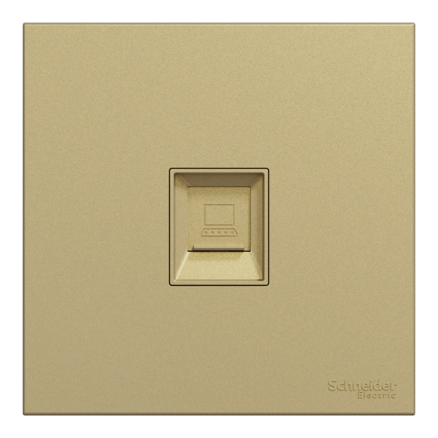 Schneider 施耐德 AvatarOn C 奐然 單位RJ45 6類數據插座, Keystone面板備防塵活門(沉醉金)