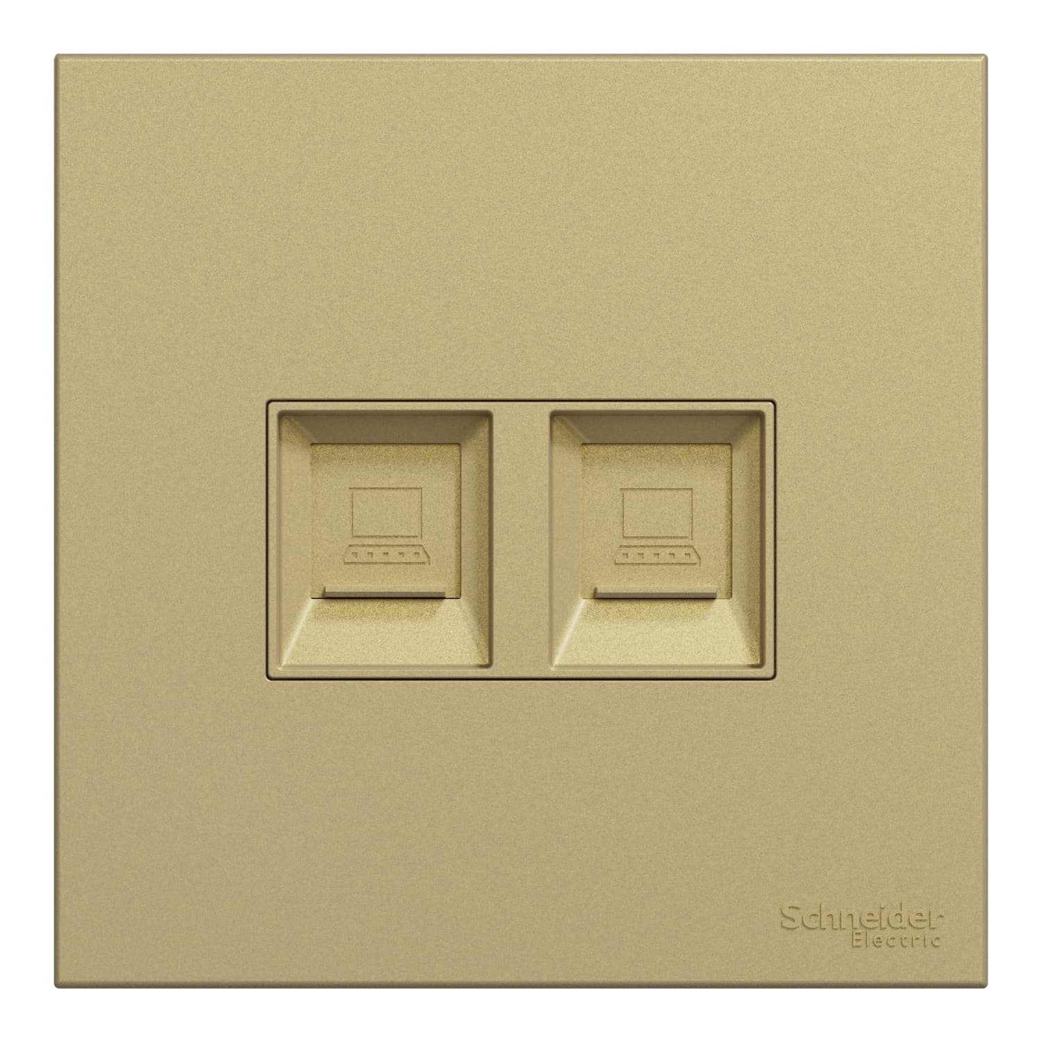 Schneider 施耐德電氣 AvatarOn C 奐然 兩位RJ45 6類數據插座, Keystone面板備防塵活門 E8732RJS6_WG(沉醉金)香港行貨