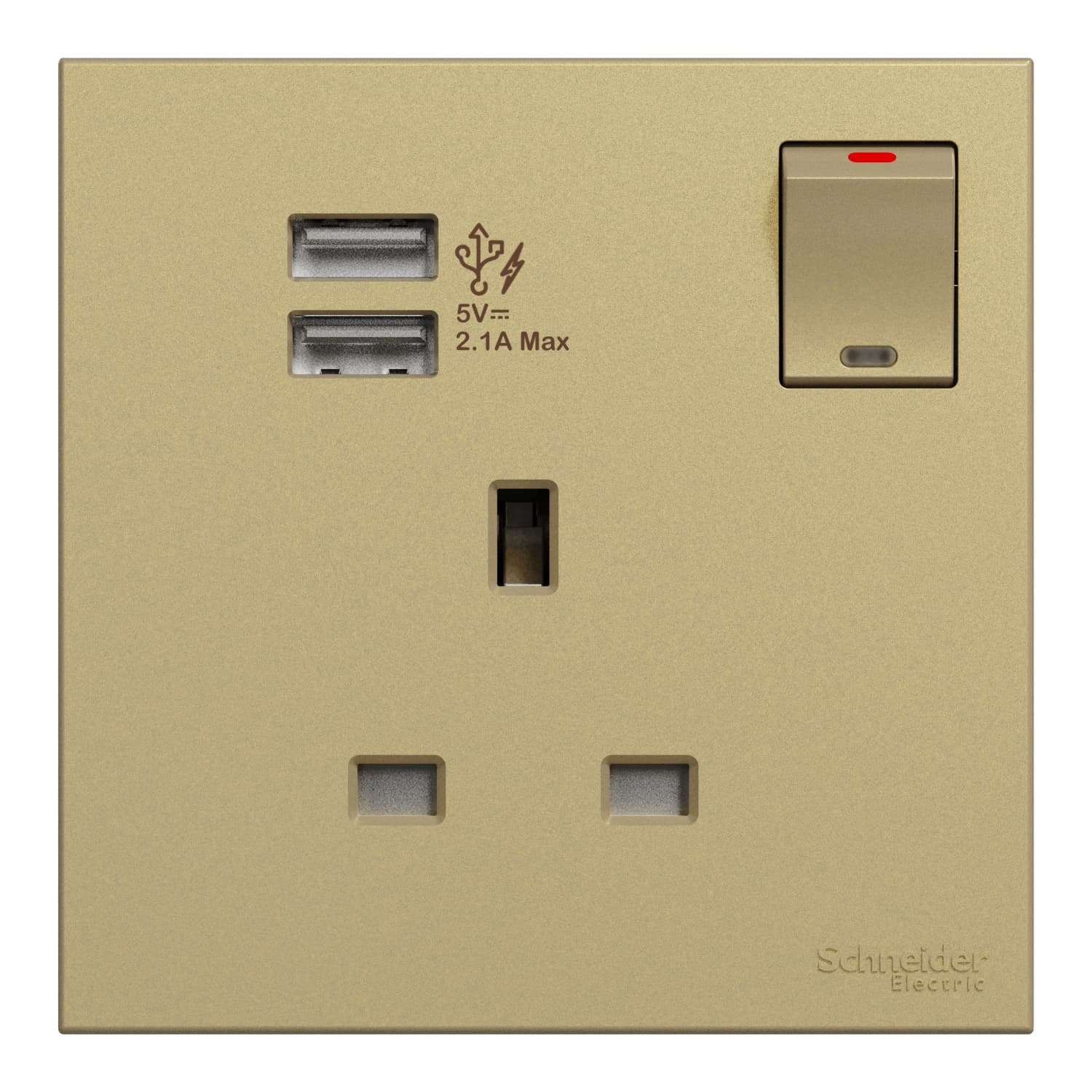 Schneider 施耐德電氣 AvatarOn C 奐然 13A 單位連保護門有掣插座連兩位USB充電插座 E8715USB_WG(沉醉金)香港行貨