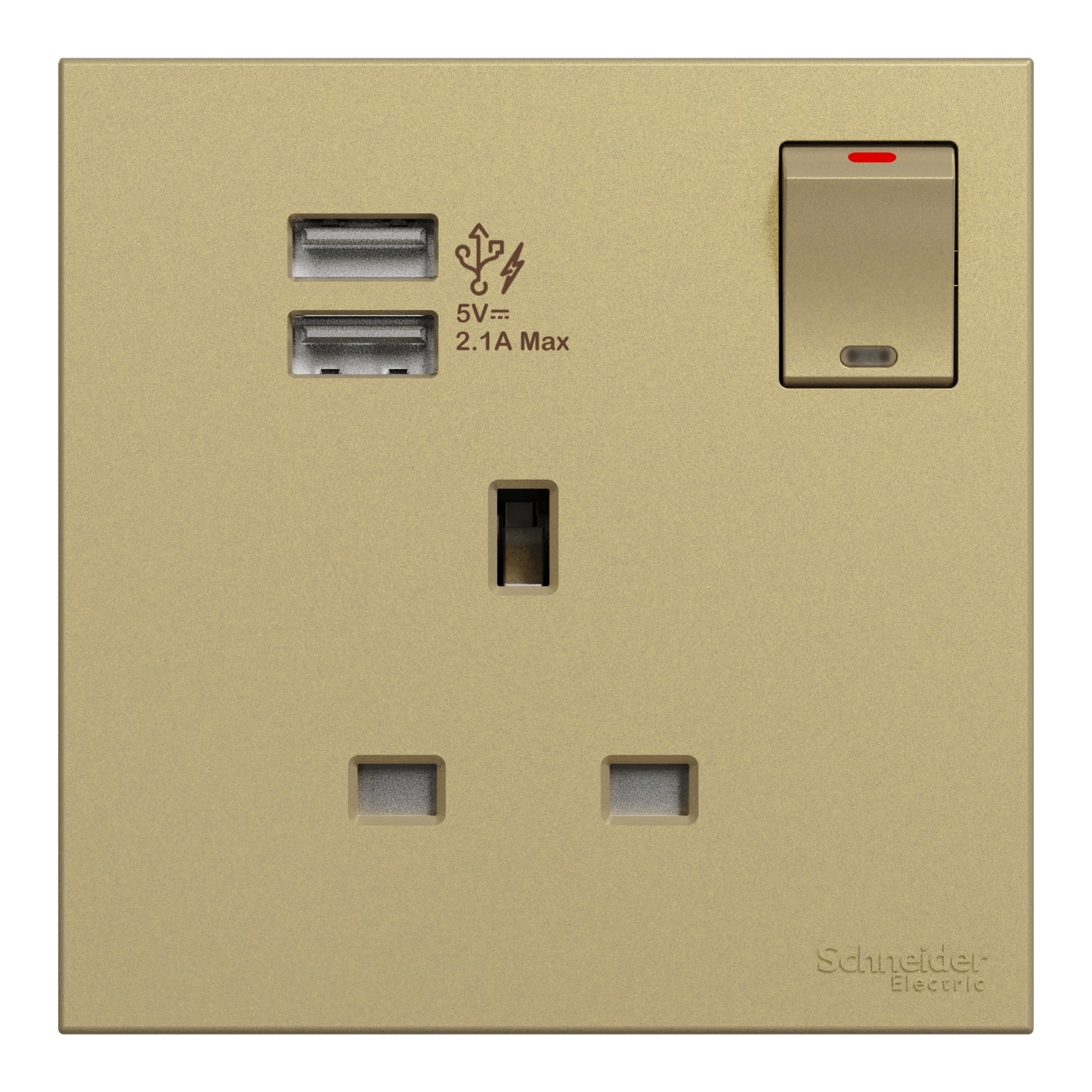 Schneider 施耐德 AvatarOn C 奐然 13A 單位連保護門有掣插座連兩位USB充電插座(沉醉金)