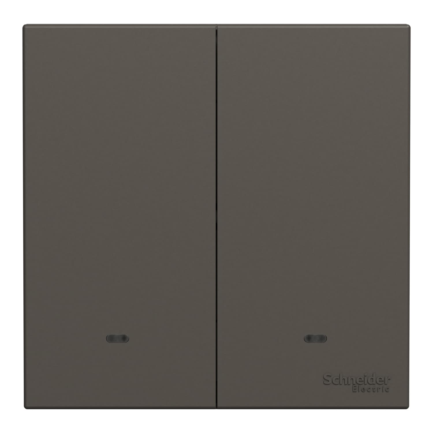 Schneider 施耐德電氣 AvatarOn C 奐然 16AX 兩位單控開關掣連螢光指示 E8732L1F_DG(石墨灰)香港行貨