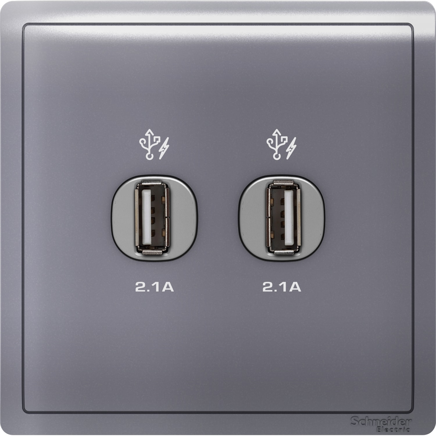 Schneider 施耐德 Pieno 丰尚 兩位2.1A USB充電插座(薰衣草銀)E8232USB_LS