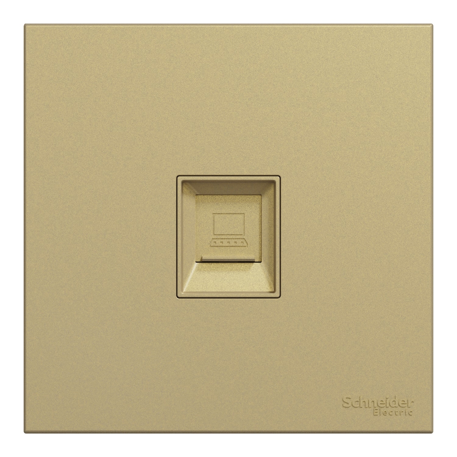 Schneider 施耐德 AvatarOn C 奐然 單位RJ11電話插座, Keystone面板備防塵活門(沉醉金)