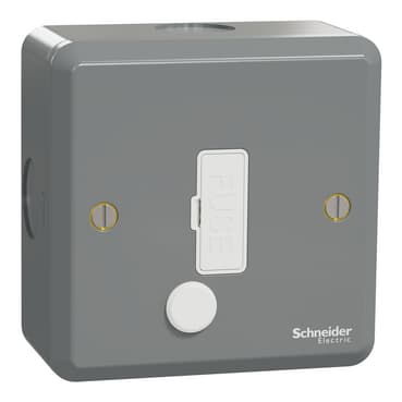 Schneider 施耐德電氣 E30 系列 ESM 防撞鋼面系列 ESMT30FSG 13A 保險菲士蘇(灰色)