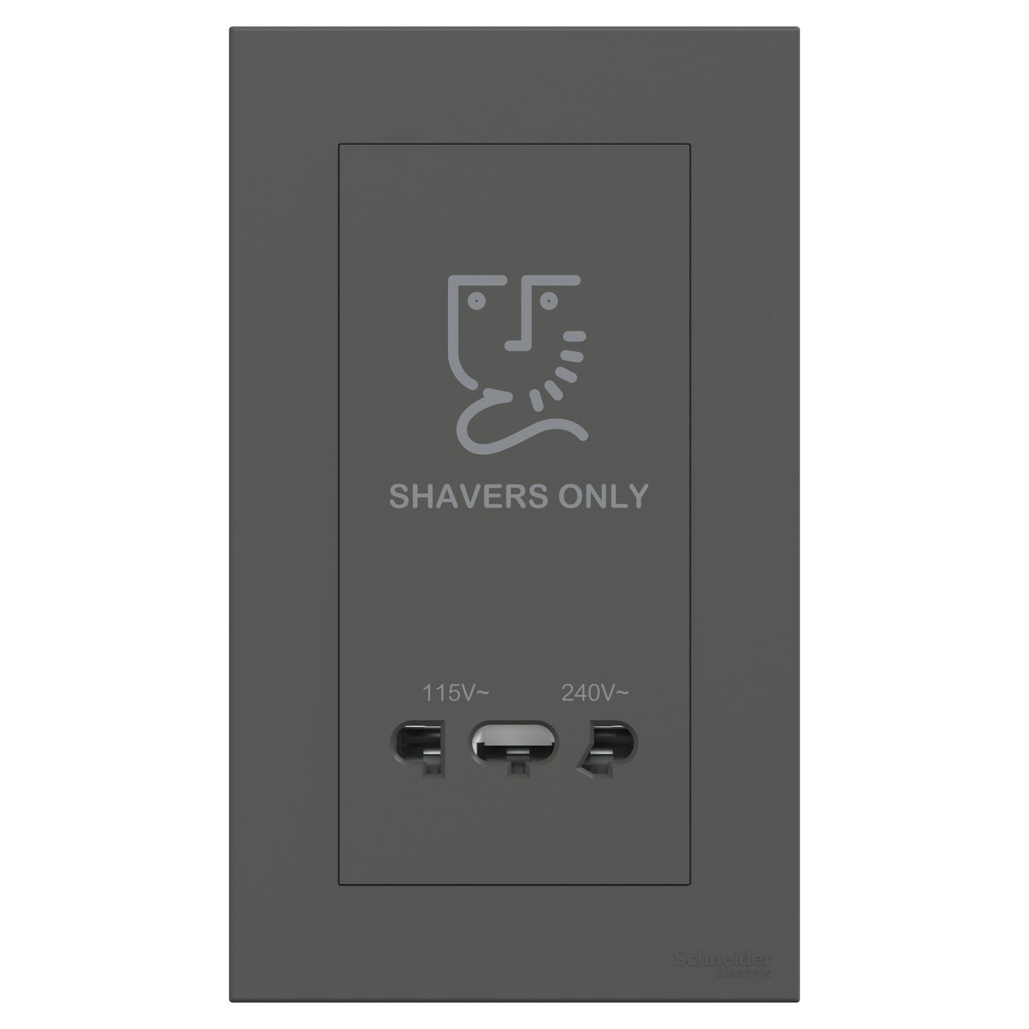 Schneider 施耐德 AvatarOn C 奐然 鬚刨插座 115V/240V(石墨灰)