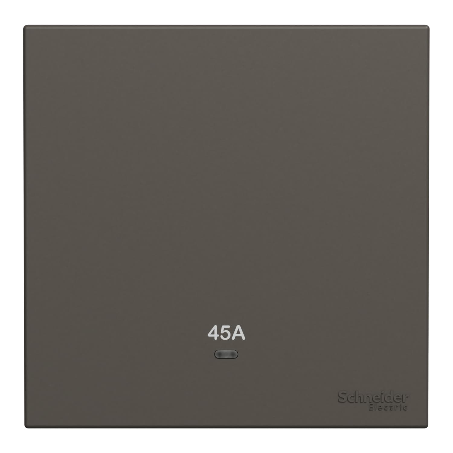 Schneider 施耐德電氣 AvatarOn C 奐然 45A 單位雙極開關掣連LED指示燈 E8731D45N_DG(石墨灰)香港行貨