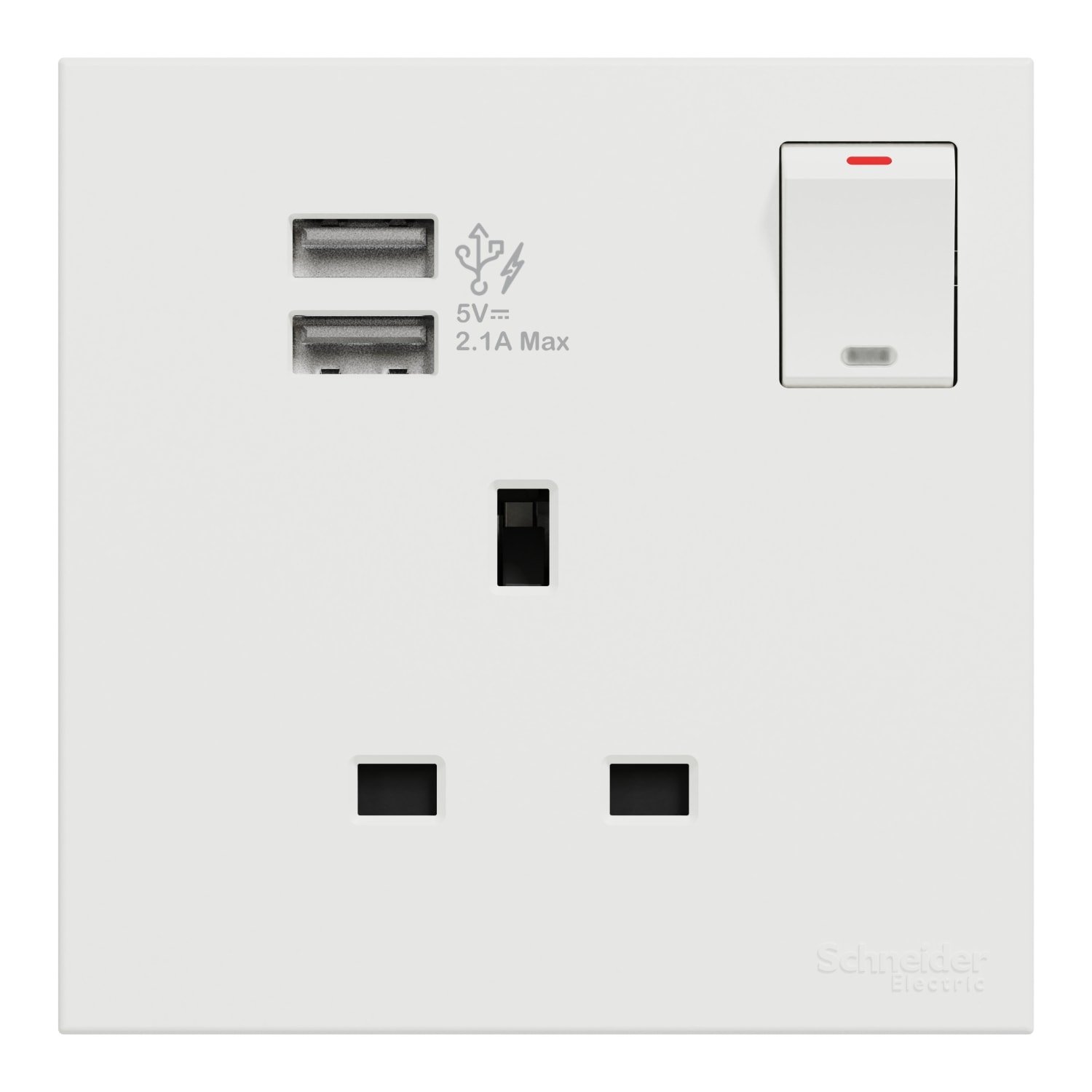 Schneider 施耐德 AvatarOn C 奐然 13A 單位連保護門有掣插座連兩位USB充電插座(搪瓷白)