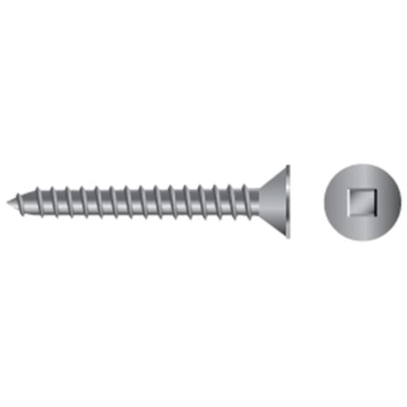 Stainless flat head self-tapping screw #8 x 2"