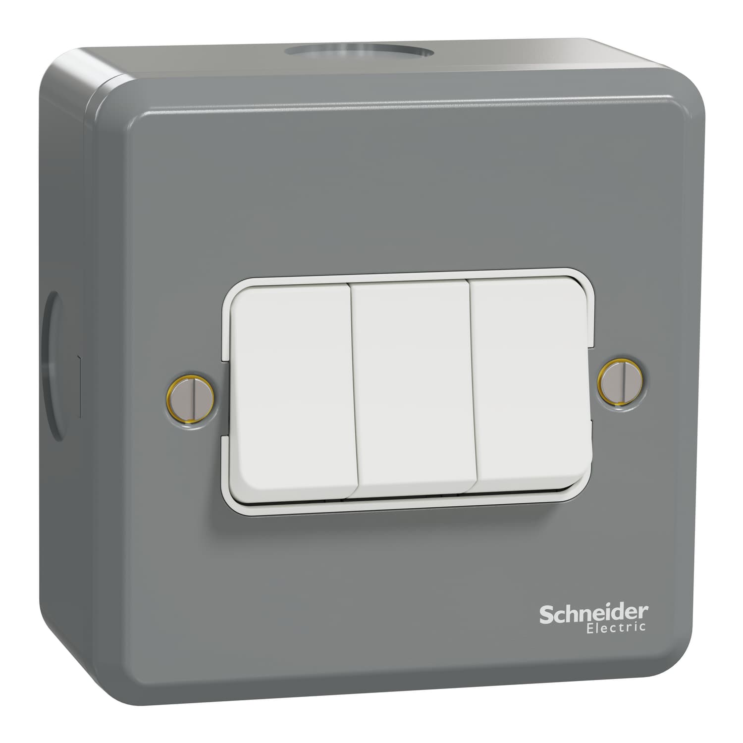 Schneider 施耐德電氣 E30 系列 ESM 防撞鋼面系列 ESMT33_1_2AR 10AX 三位單控開關掣(灰/白)