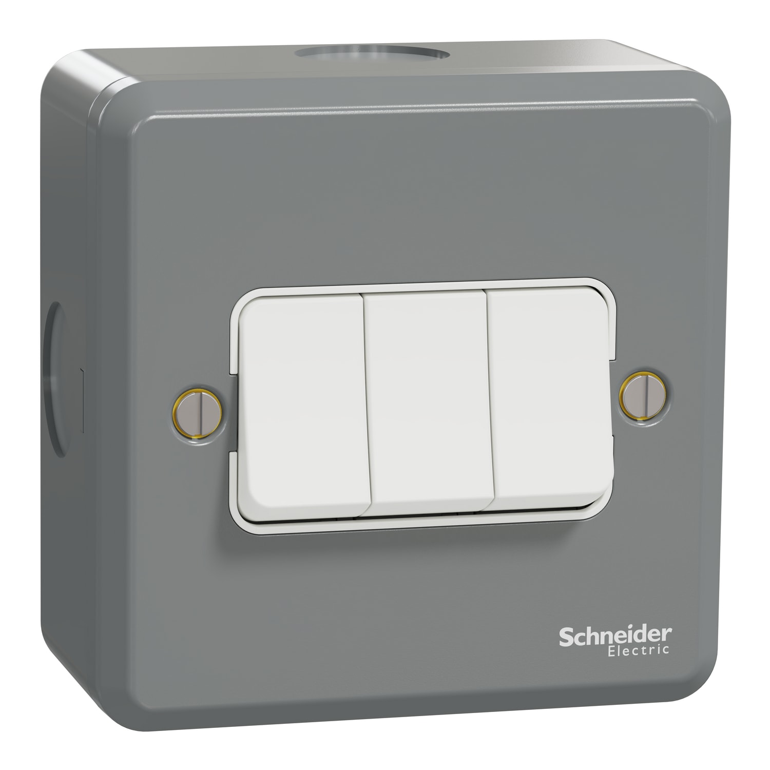 Schneider Electric ESMT33_1_2AR 10AX 三位單控開關掣正面