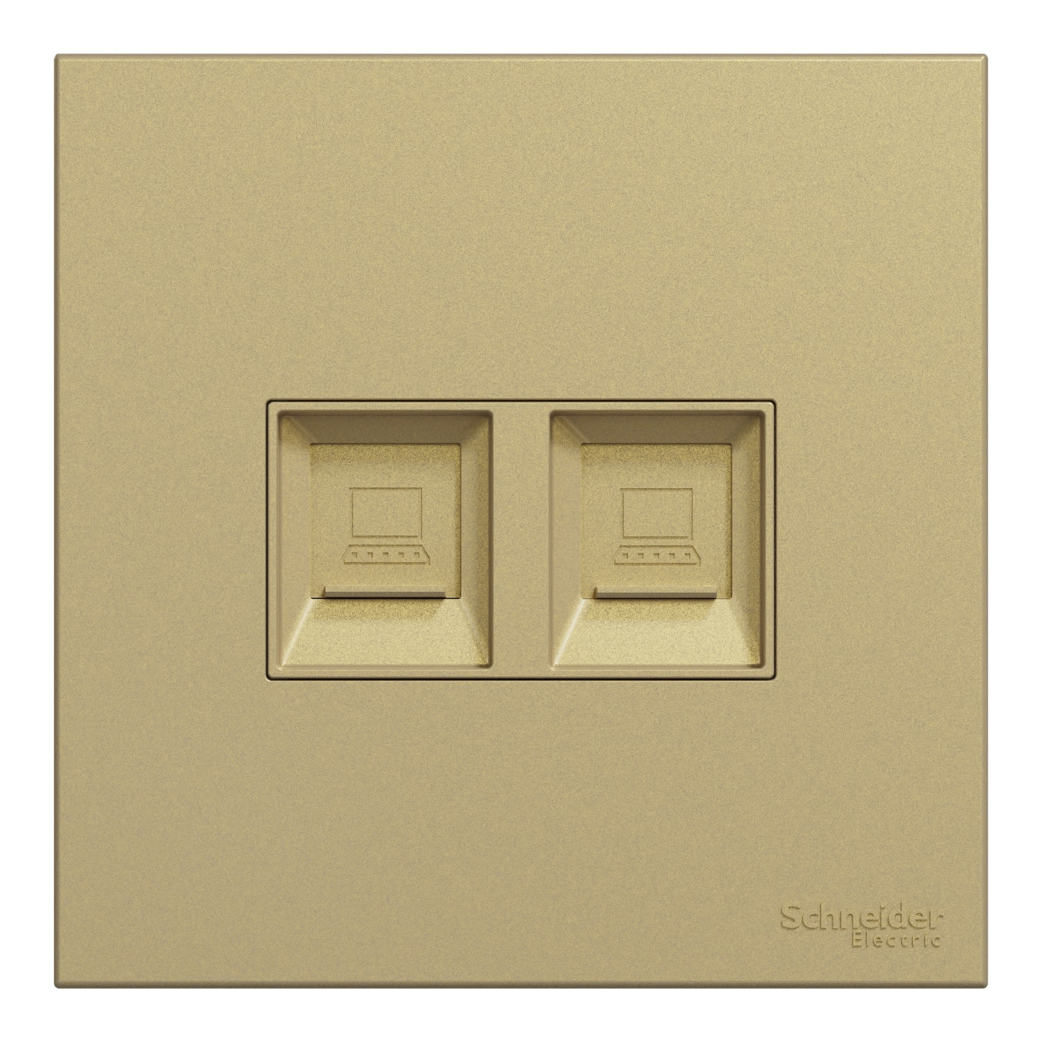 Schneider 施耐德 AvatarOn C 奐然 兩位RJ11電話插座, Keystone面板備防塵活門(沉醉金)