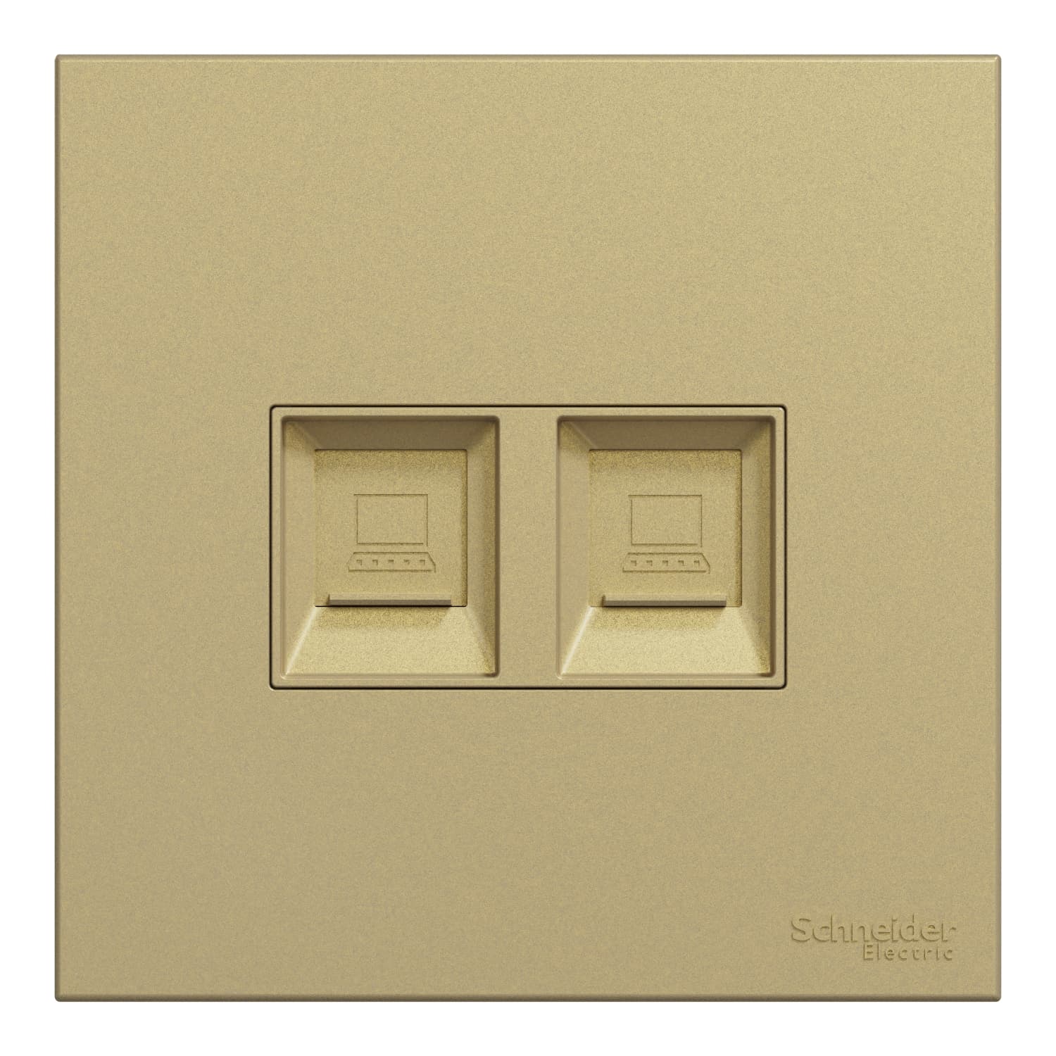 Schneider 施耐德電氣 AvatarOn C 奐然 兩位RJ45 5e類數據插座, Keystone面板備防塵活門 E8732RJS5_WG(沉醉金)香港行貨