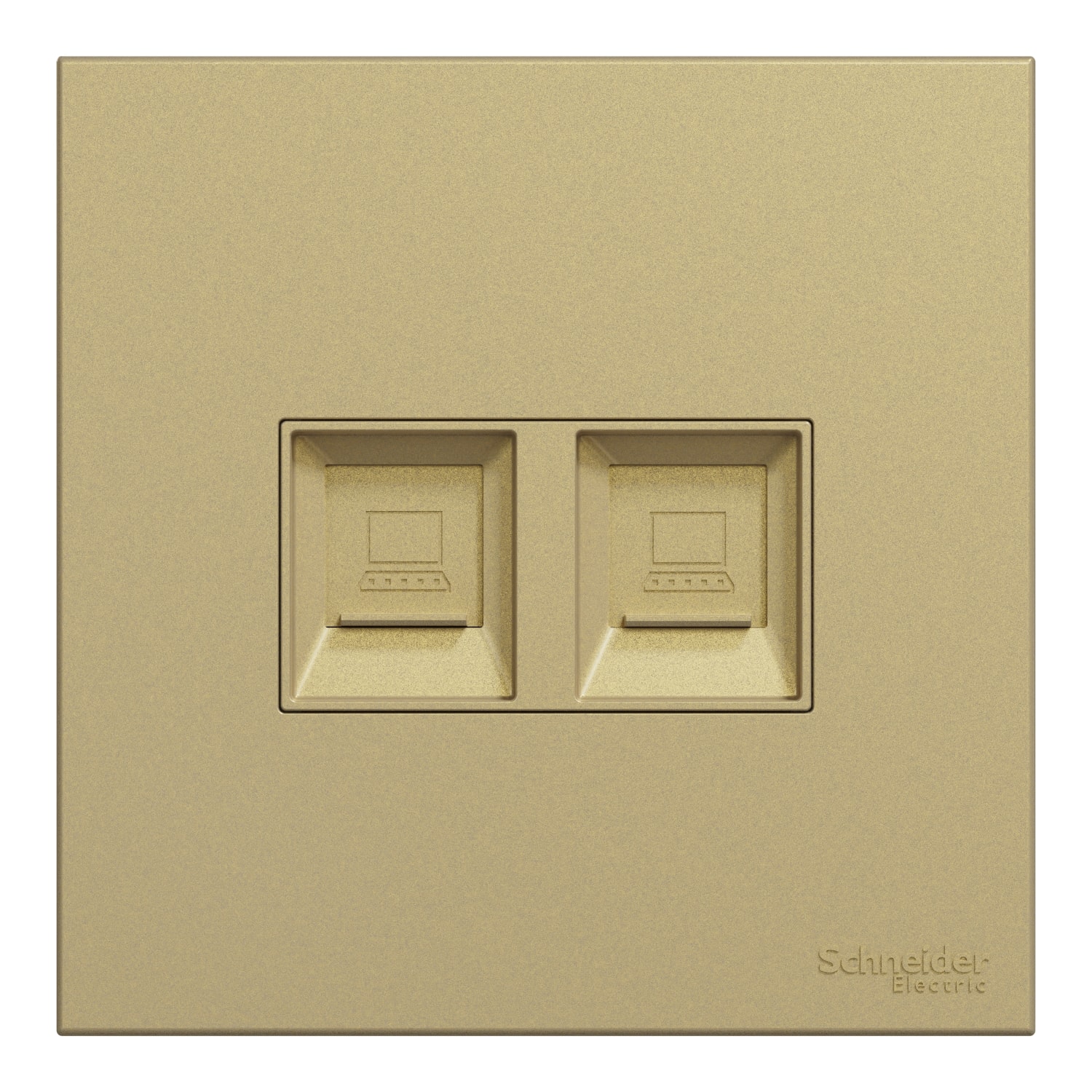 Schneider 施耐德 AvatarOn C 奐然 兩位RJ45 5e類數據插座, Keystone面板備防塵活門(沉醉金)