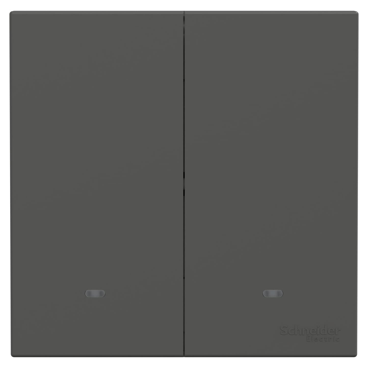 Schneider 施耐德電氣 AvatarOn C 奐然 10A 兩位復位掣 E8732PRF_DG(石墨灰)香港行貨