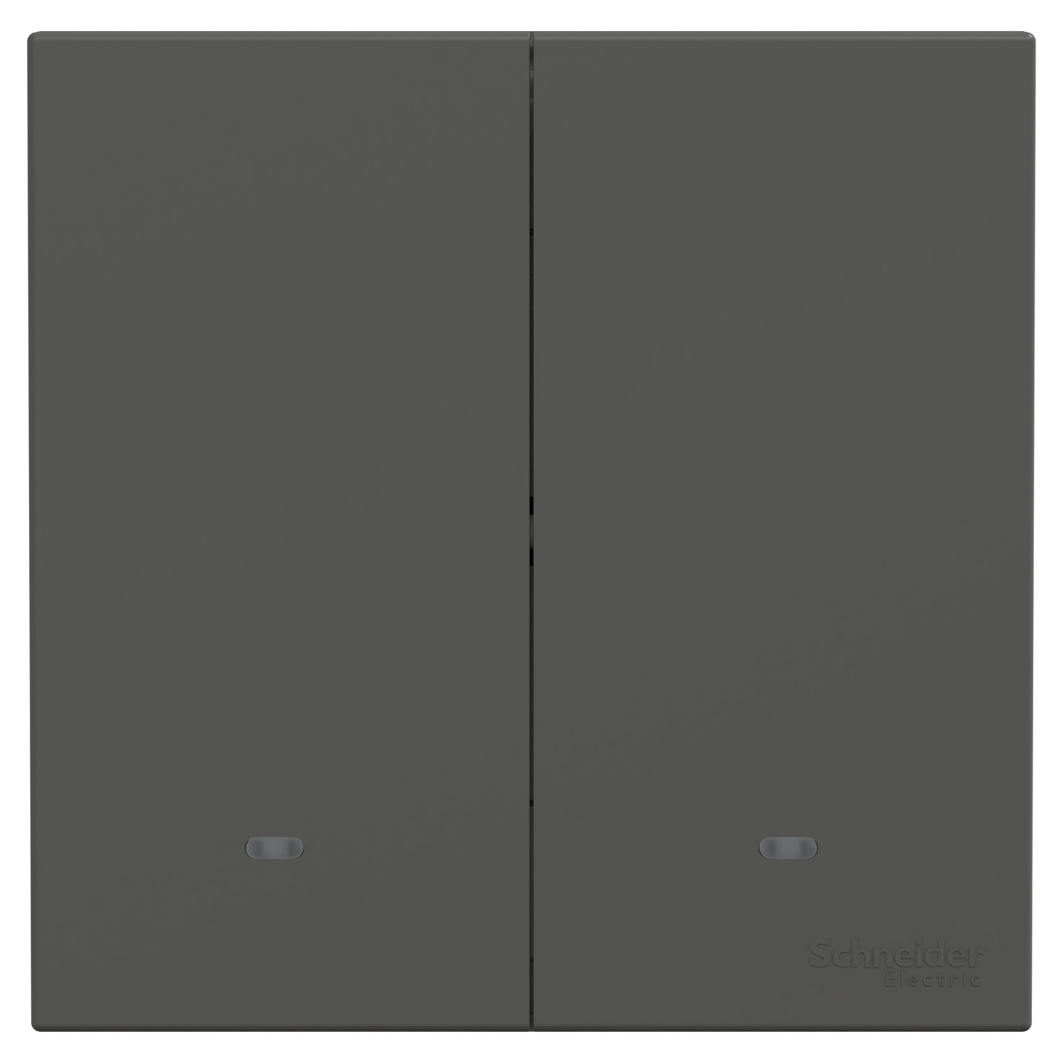 Schneider 施耐德 AvatarOn C 奐然 10A 兩位復位掣(石墨灰)