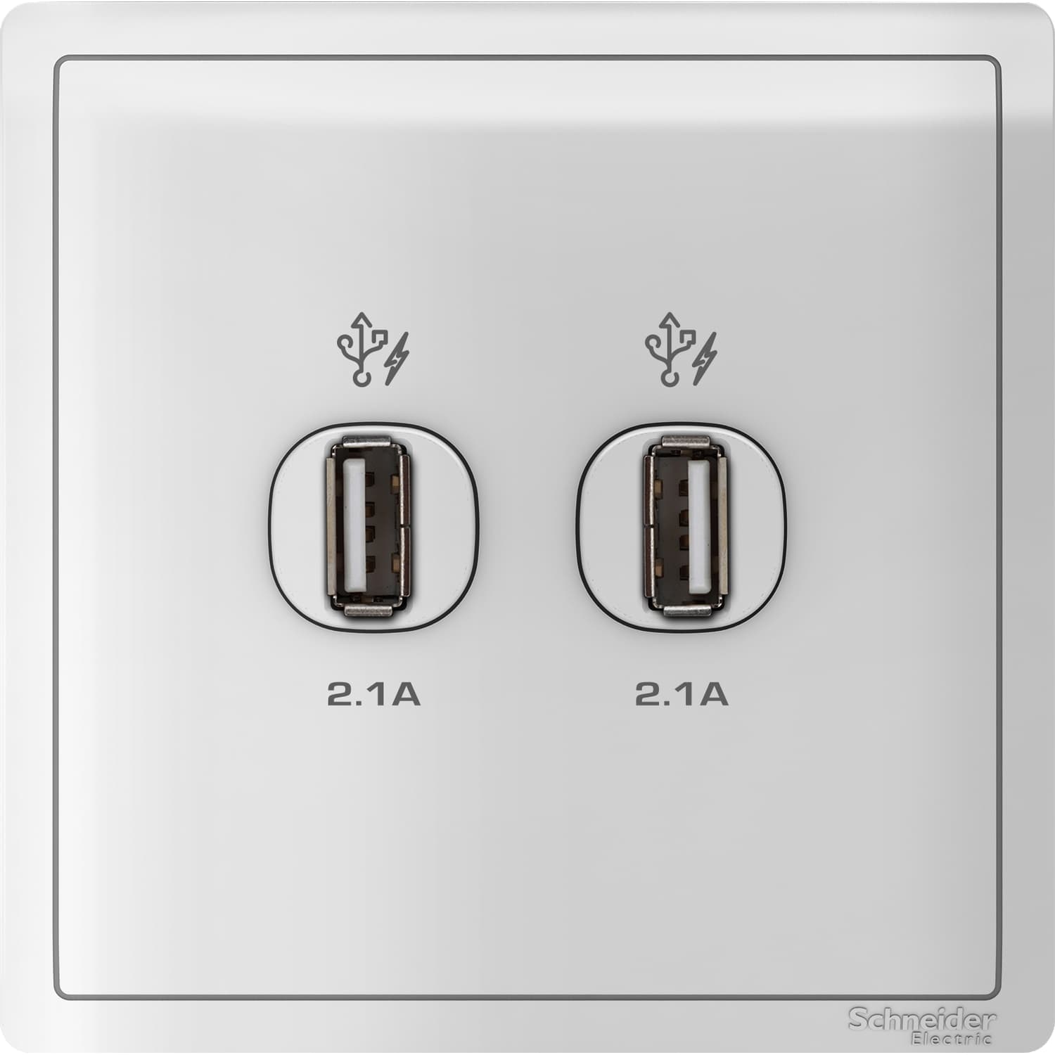 Schneider 施耐德電氣 Pieno 丰尚 兩位2.1A USB充電插座 E8232USB_WE(白)香港行貨