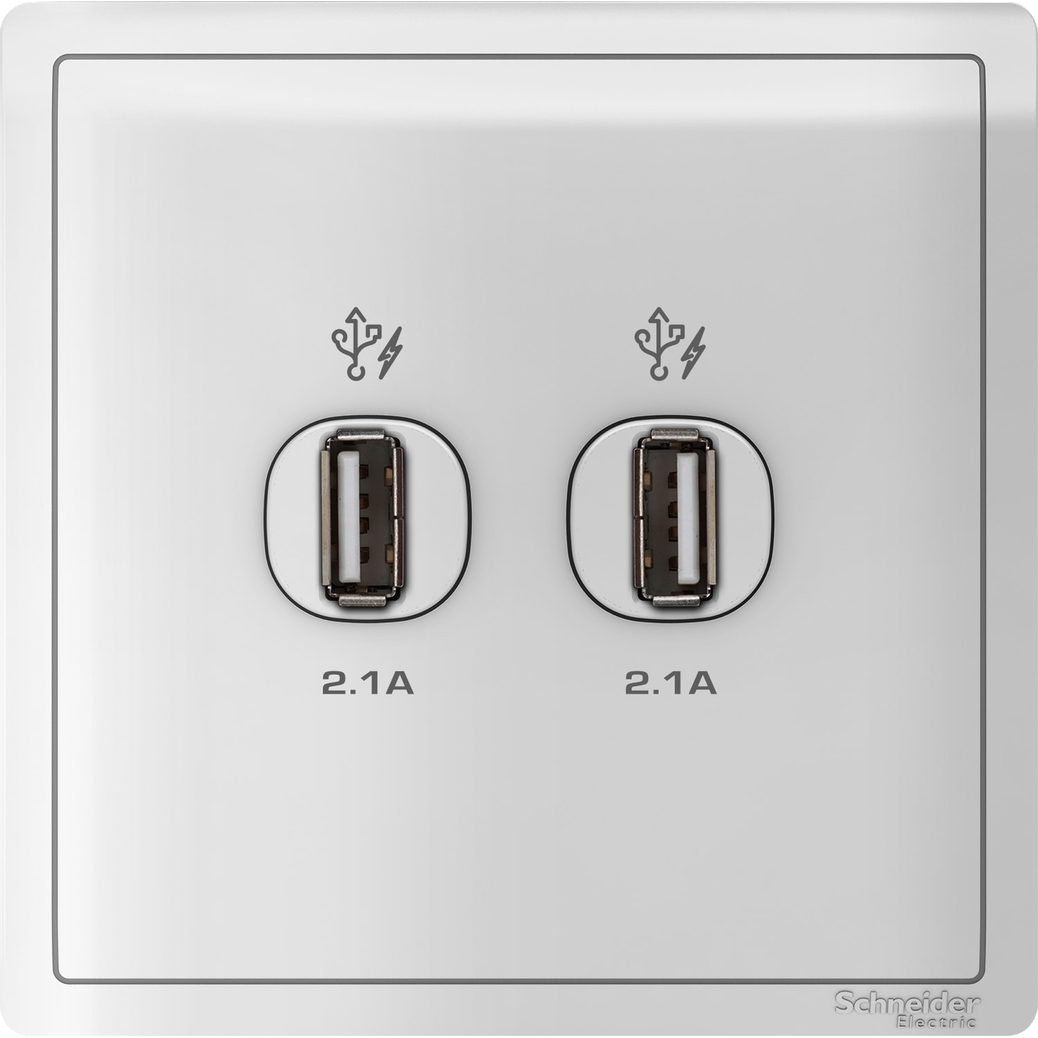 Schneider 施耐德 Pieno 丰尚 兩位2.1A USB充電插座(白)E8232USB_WE