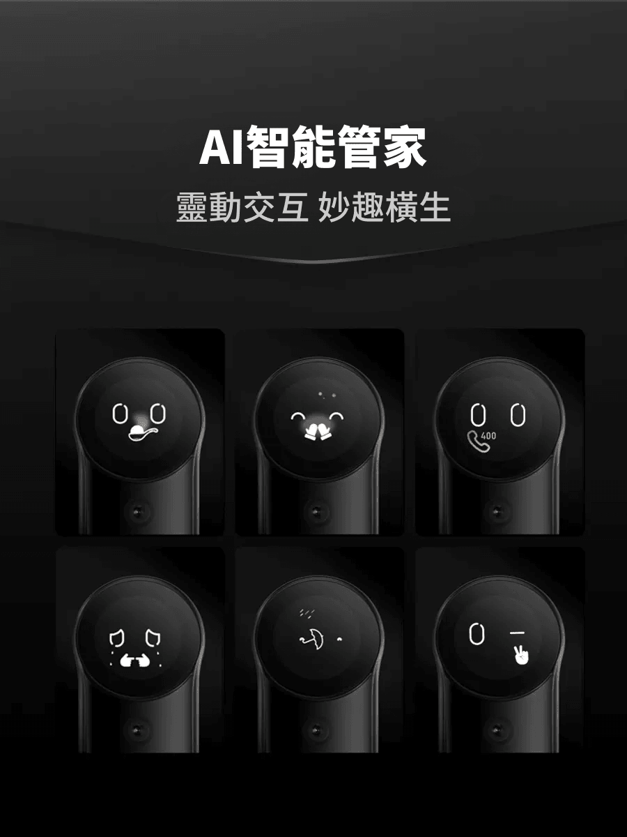 (包安裝) DESMAN 德施曼 R9 電子門鎖