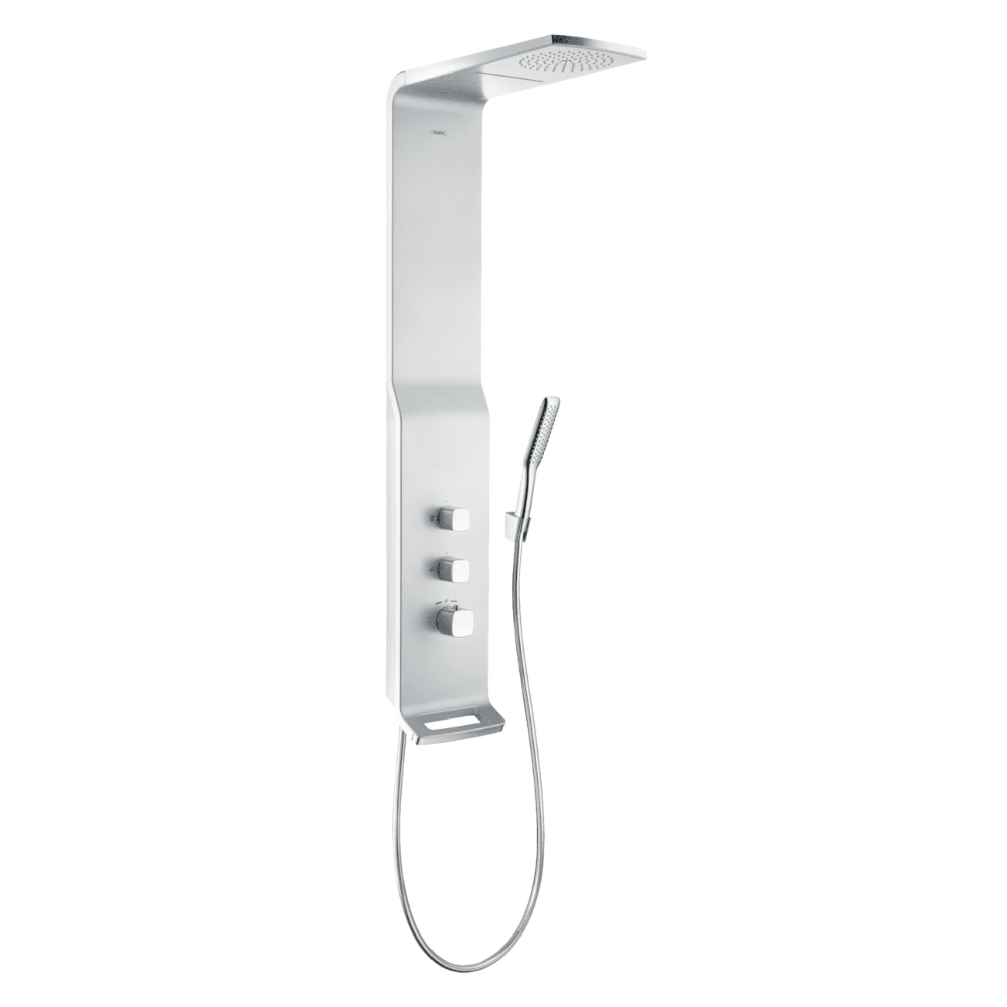 hansgrohe 27008 Raindance 淋浴面板