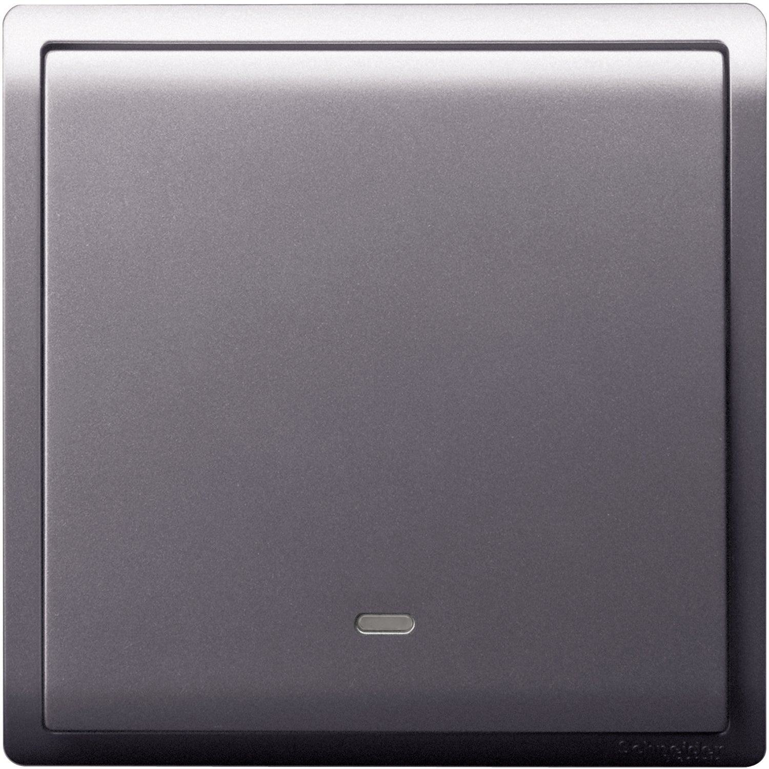 Schneider 施耐德 E8231L2F_LS_CS 16AX單位雙控開關掣連螢光指示