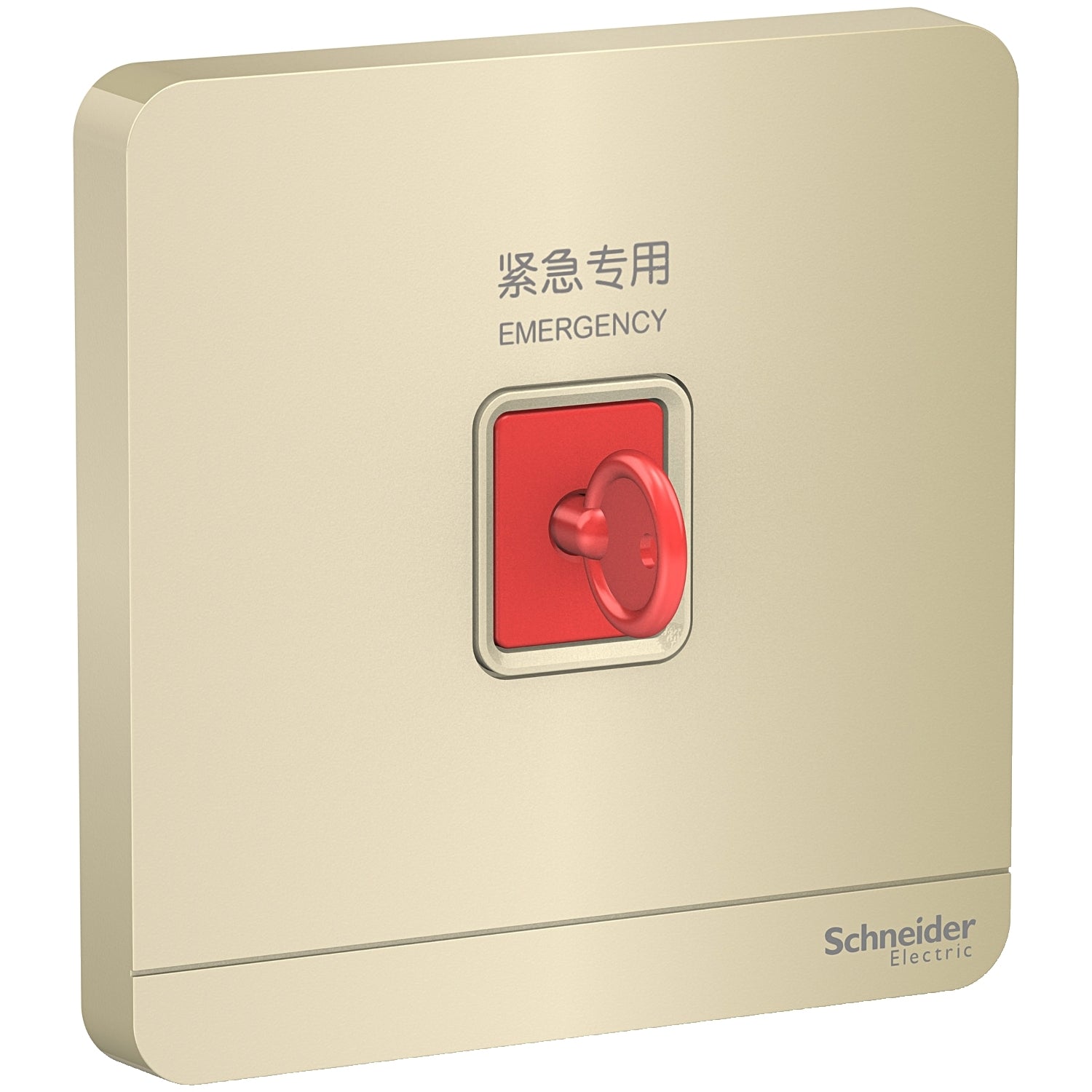 Schneider 施耐德 E8331KPB_WG_C5 緊急按鈕連鎖匙復位鍵 (沉醉金)