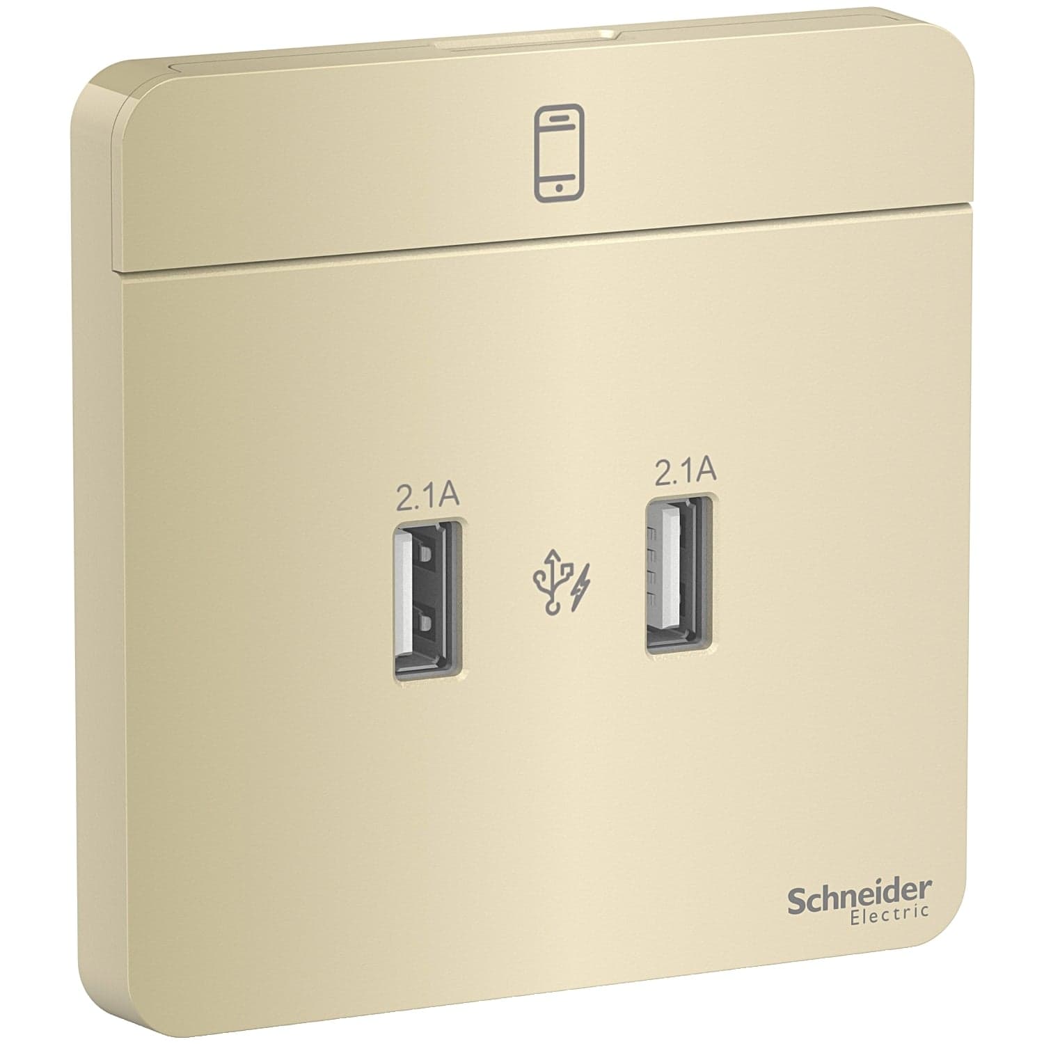 Schneider 施耐德 E8332USB_WG_C5 兩位2.1A USB充電插座