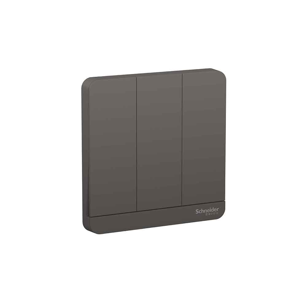 Schneider 施耐德 E8333PRL1_DG_C5 4A 三位復位掣