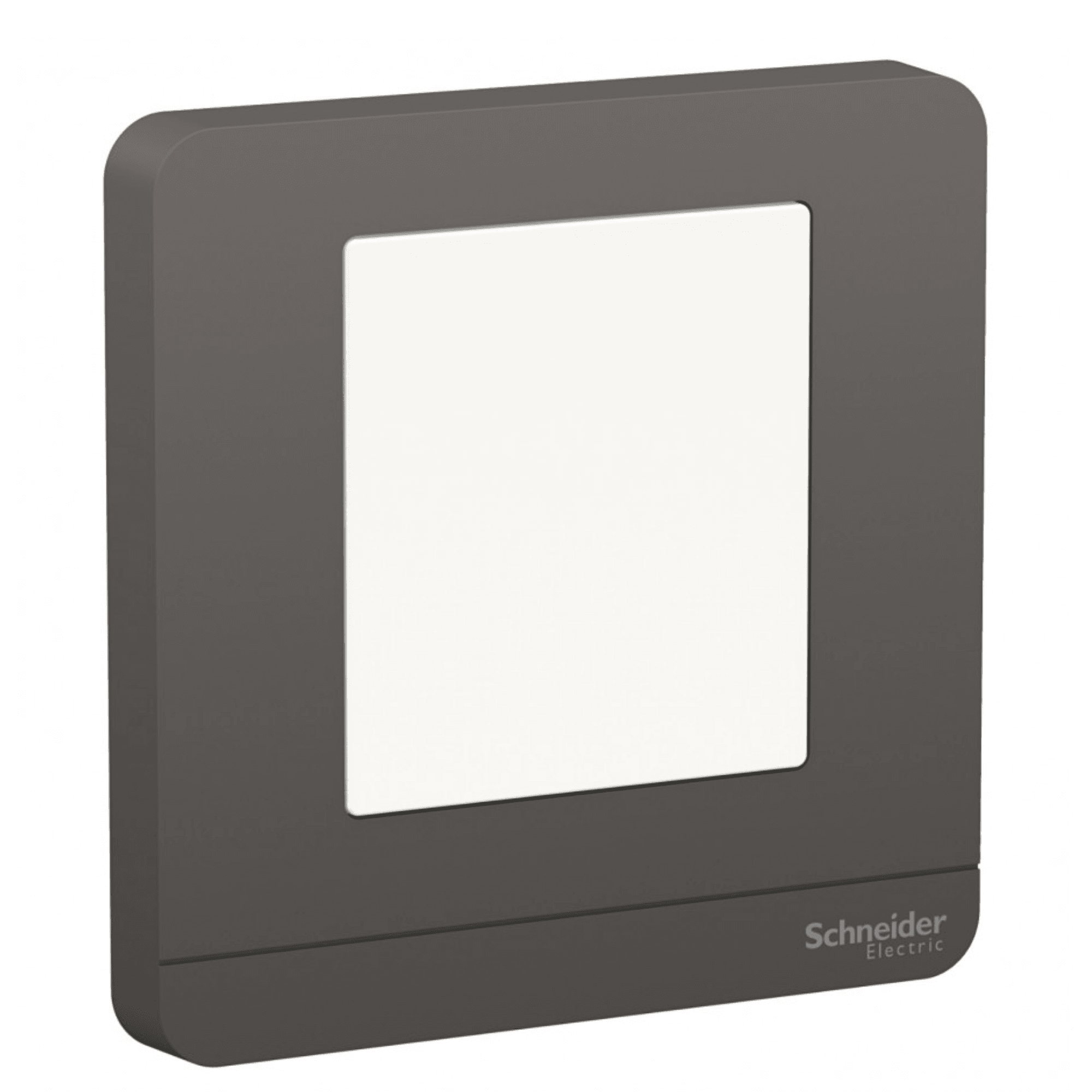 Schneider E8390FLW_DG_C5 LED Floor Night Light