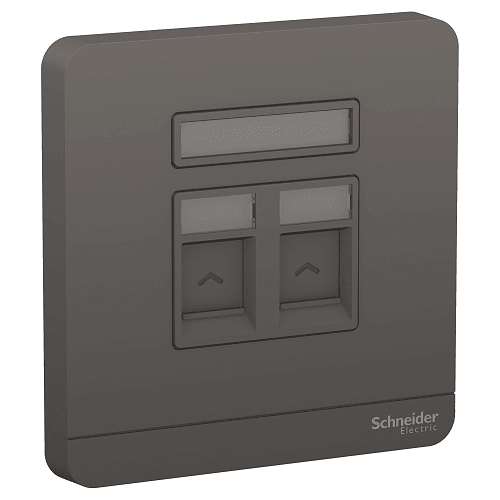 Schneider 施耐德 – 雙位RJ45數據插座,Keystone面板備防塵活門(不連模塊) E8332RJS_DG_C5